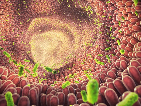 Какво представлява чревният микробиом?