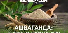 Ашваганда: Всичко за билката чудо – ползи, странични ефекти и правилен прием