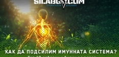 Как да подсилим имунната система? Топ 10 добавки и билки за здрав имунитет