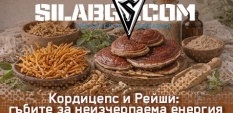 Кордицепс и Рейши: гъбите за неизчерпаема енергия и желязно здраве