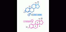 Преборете анти-тестостероновите хормони